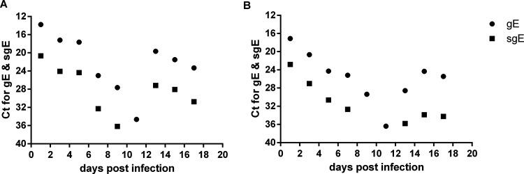 https://cdn.ncbi.nlm.nih.gov/pmc/blobs/01f9/9517720/02907ecec0bb/jvi.01034-22-f006.jpg
