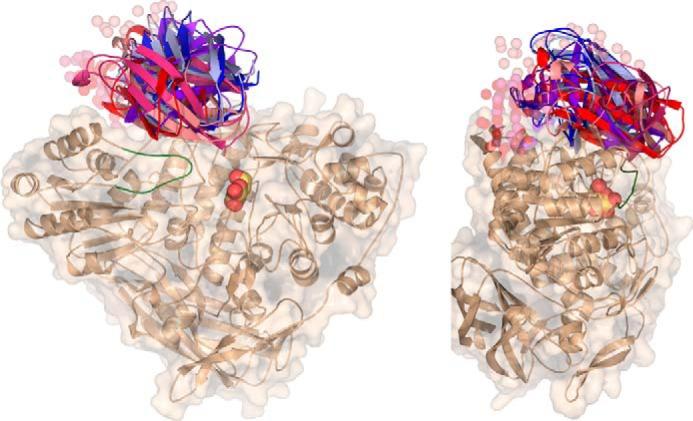 https://cdn.ncbi.nlm.nih.gov/pmc/blobs/01fb/5104943/952733b44f0f/zbc0491656160004.jpg