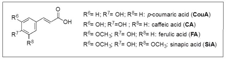https://cdn.ncbi.nlm.nih.gov/pmc/blobs/01fc/9370816/54ac23eeb1d2/molecules-27-04962-sch003.jpg