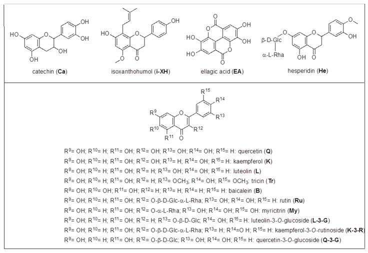https://cdn.ncbi.nlm.nih.gov/pmc/blobs/01fc/9370816/77f7e809206e/molecules-27-04962-sch005.jpg