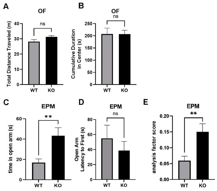 https://cdn.ncbi.nlm.nih.gov/pmc/blobs/01ff/10253409/2cf2734a78f5/ijms-24-09565-g009.jpg