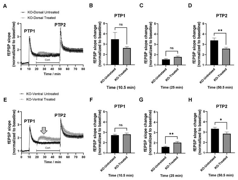 https://cdn.ncbi.nlm.nih.gov/pmc/blobs/01ff/10253409/a00b02aacaf0/ijms-24-09565-g004.jpg