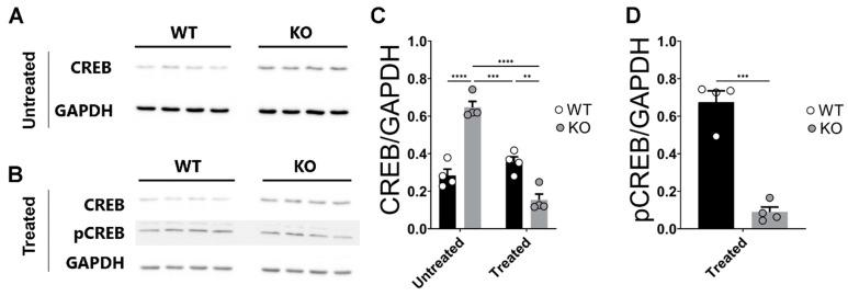 https://cdn.ncbi.nlm.nih.gov/pmc/blobs/01ff/10253409/a463416876c9/ijms-24-09565-g005.jpg