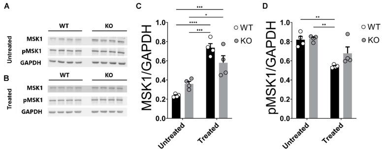 https://cdn.ncbi.nlm.nih.gov/pmc/blobs/01ff/10253409/bd714d0839c1/ijms-24-09565-g007.jpg