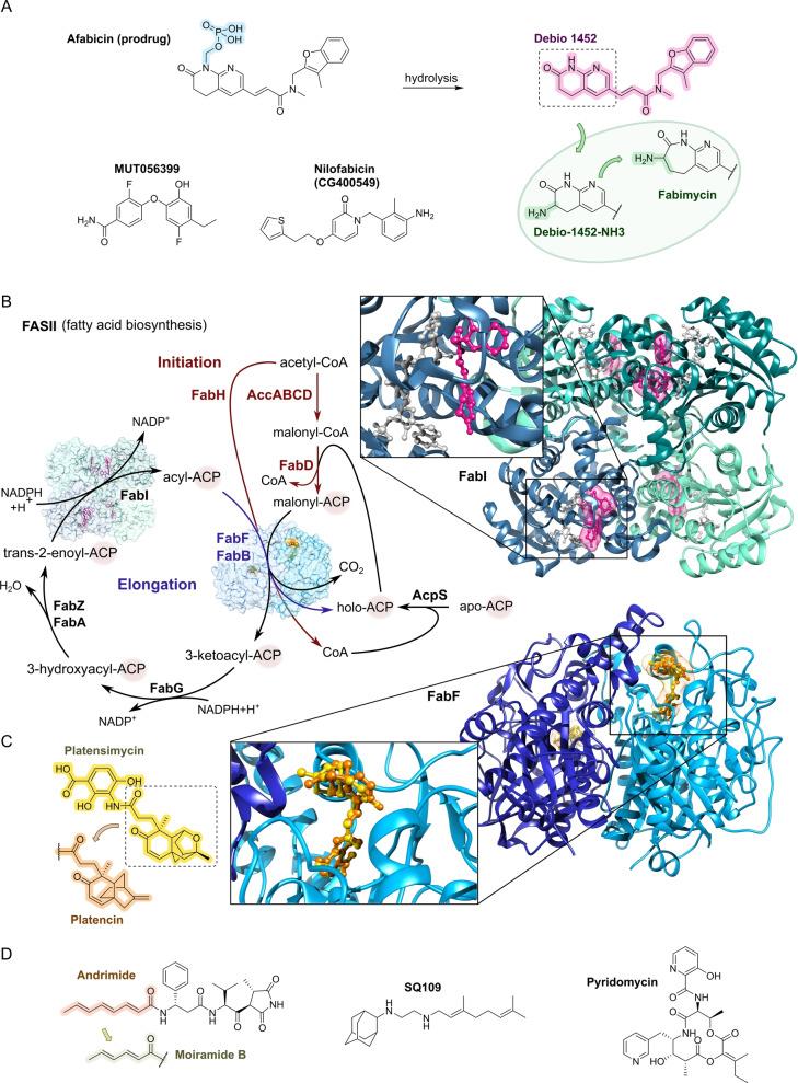 https://cdn.ncbi.nlm.nih.gov/pmc/blobs/0201/11878372/06352d7b178d/ANIE-64-e202414325-g020.jpg