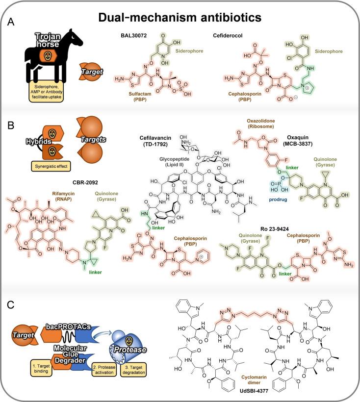 https://cdn.ncbi.nlm.nih.gov/pmc/blobs/0201/11878372/22cc0eb79241/ANIE-64-e202414325-g018.jpg