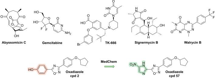 https://cdn.ncbi.nlm.nih.gov/pmc/blobs/0201/11878372/2c7d9363f24c/ANIE-64-e202414325-g004.jpg