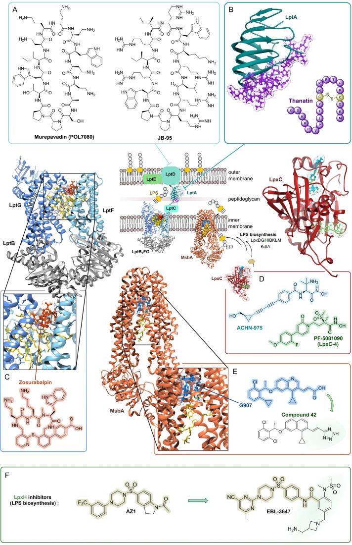 https://cdn.ncbi.nlm.nih.gov/pmc/blobs/0201/11878372/30adb499a7de/ANIE-64-e202414325-g017.jpg