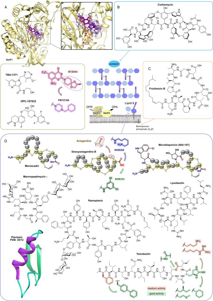 https://cdn.ncbi.nlm.nih.gov/pmc/blobs/0201/11878372/75e3f8b79c91/ANIE-64-e202414325-g019.jpg