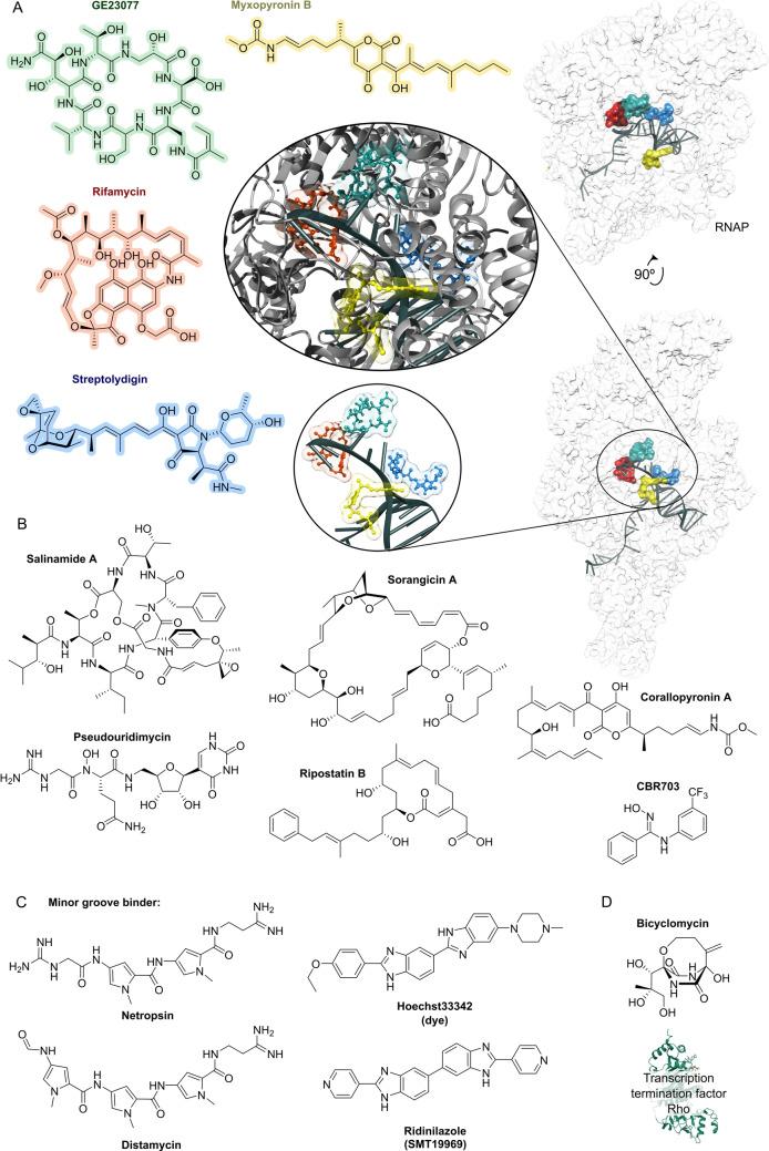 https://cdn.ncbi.nlm.nih.gov/pmc/blobs/0201/11878372/a956d9824e67/ANIE-64-e202414325-g003.jpg