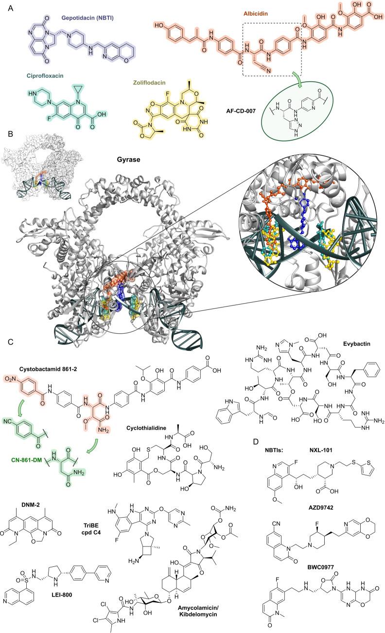 https://cdn.ncbi.nlm.nih.gov/pmc/blobs/0201/11878372/c34ab7db2c32/ANIE-64-e202414325-g009.jpg