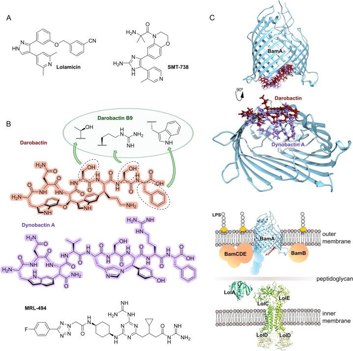 https://cdn.ncbi.nlm.nih.gov/pmc/blobs/0201/11878372/f68745ebd3dd/ANIE-64-e202414325-g014.jpg