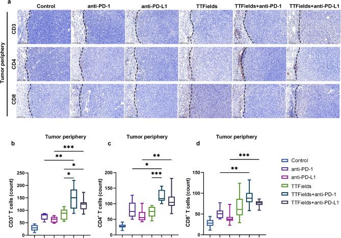 https://cdn.ncbi.nlm.nih.gov/pmc/blobs/0201/11912744/452dbaadf31f/12885_2025_13859_Fig3_HTML.jpg