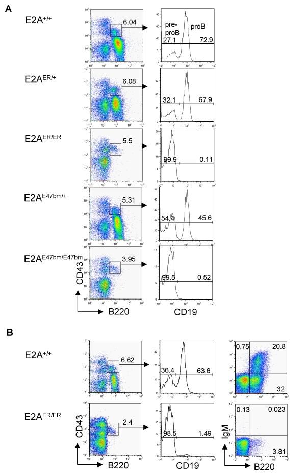 https://cdn.ncbi.nlm.nih.gov/pmc/blobs/0201/2765948/ad2d998adfa3/1471-213X-9-51-2.jpg
