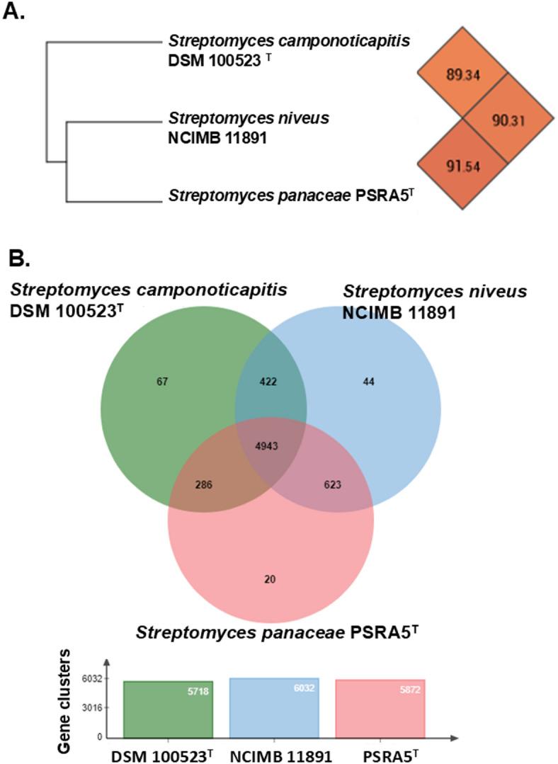https://cdn.ncbi.nlm.nih.gov/pmc/blobs/0202/12141736/b869a780ca18/41598_2025_5333_Fig3_HTML.jpg