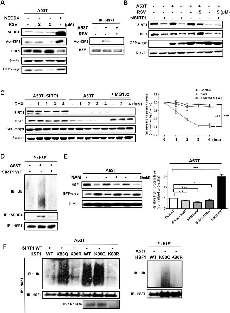 https://cdn.ncbi.nlm.nih.gov/pmc/blobs/0202/4706110/043a9cc2df60/ddv44505.jpg