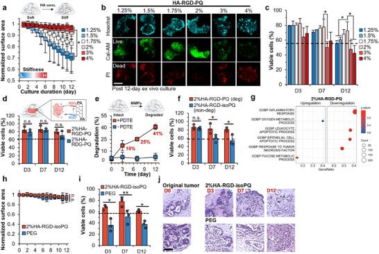 https://cdn.ncbi.nlm.nih.gov/pmc/blobs/0203/12369685/840abe908eb5/ADMA-37-2418647-g004.jpg