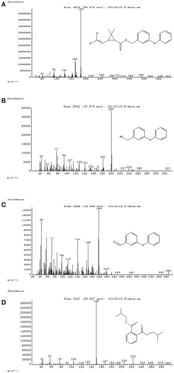 https://cdn.ncbi.nlm.nih.gov/pmc/blobs/0204/5801723/67904fc8927c/fmicb-09-00098-g0005.jpg