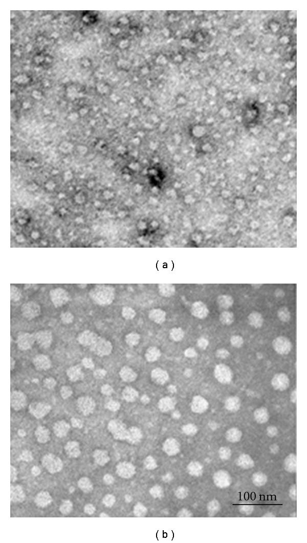 https://cdn.ncbi.nlm.nih.gov/pmc/blobs/0205/3160105/87faf6bb0ade/IJVM2012-501954.001.jpg