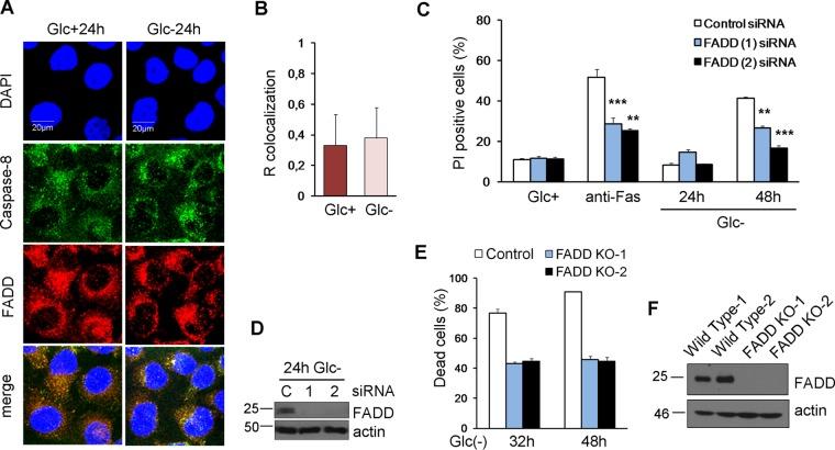 https://cdn.ncbi.nlm.nih.gov/pmc/blobs/0205/5477549/1233c2621648/zmb9991014810006.jpg