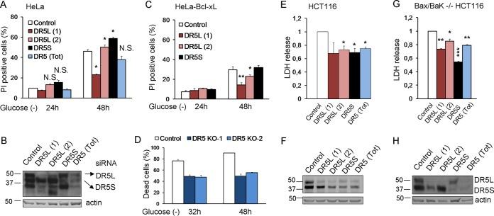 https://cdn.ncbi.nlm.nih.gov/pmc/blobs/0205/5477549/6ae0f0e4a939/zmb9991014810008.jpg