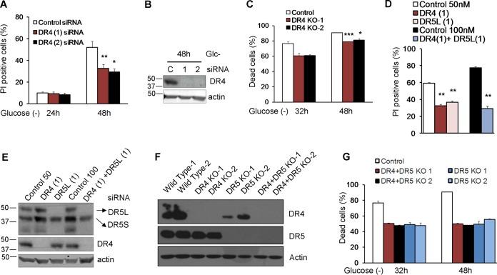 https://cdn.ncbi.nlm.nih.gov/pmc/blobs/0205/5477549/78520b332072/zmb9991014810009.jpg