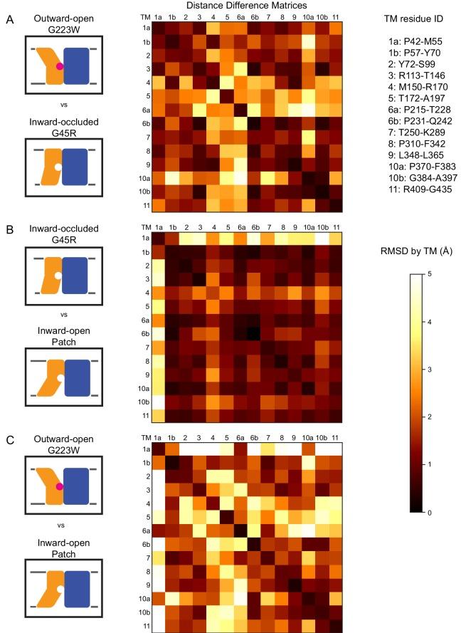 https://cdn.ncbi.nlm.nih.gov/pmc/blobs/0205/6398981/61eb9fcc0fd0/elife-41124-fig3.jpg
