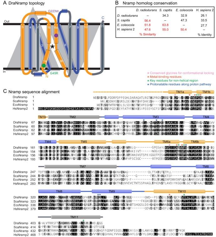 https://cdn.ncbi.nlm.nih.gov/pmc/blobs/0205/6398981/9ca0747aebae/elife-41124-fig2-figsupp1.jpg