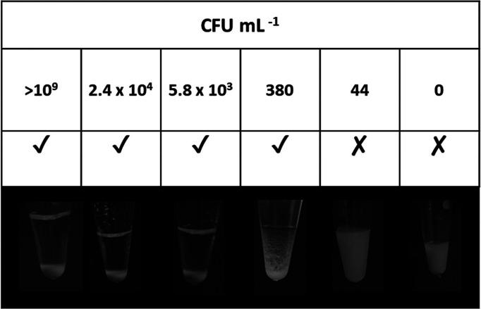 https://cdn.ncbi.nlm.nih.gov/pmc/blobs/0206/10934273/0ac128567baa/bm3c01187_0004.jpg