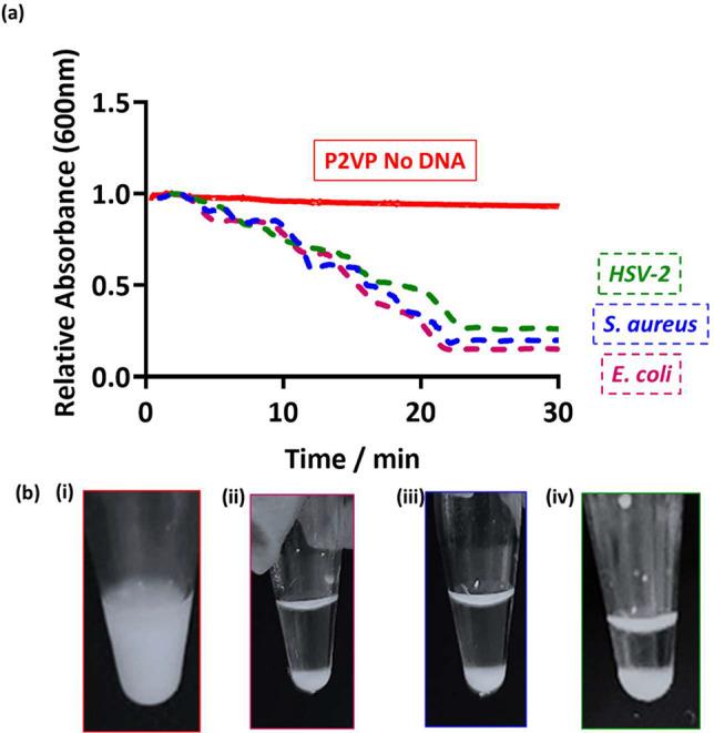 https://cdn.ncbi.nlm.nih.gov/pmc/blobs/0206/10934273/a1189ea5c252/bm3c01187_0001.jpg