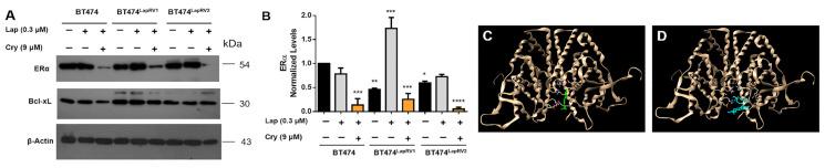 https://cdn.ncbi.nlm.nih.gov/pmc/blobs/0207/12027730/96a73e2fada9/ijms-26-03763-g006.jpg