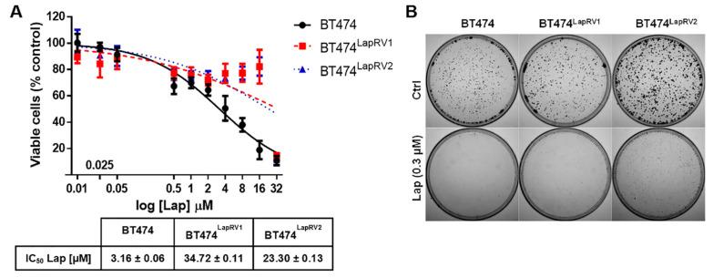 https://cdn.ncbi.nlm.nih.gov/pmc/blobs/0207/12027730/ca69c53eea22/ijms-26-03763-g002.jpg