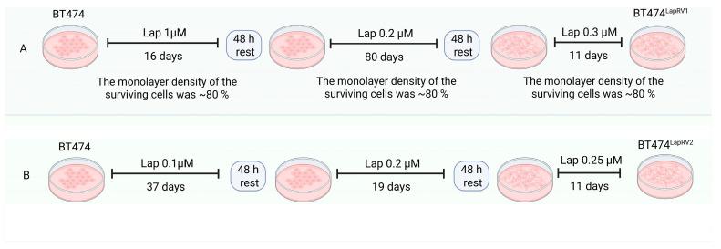 https://cdn.ncbi.nlm.nih.gov/pmc/blobs/0207/12027730/f67cf87693eb/ijms-26-03763-g001.jpg