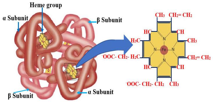 https://cdn.ncbi.nlm.nih.gov/pmc/blobs/0208/10669754/75b511754510/bioengineering-10-01272-g001.jpg