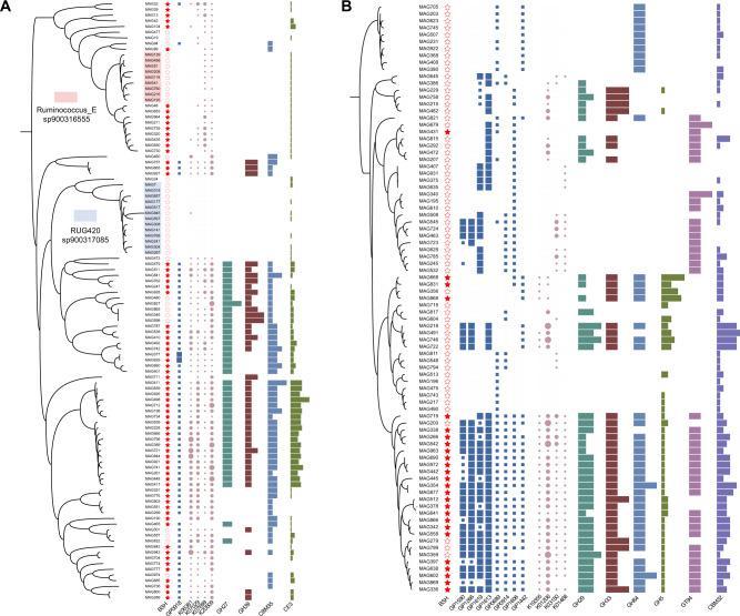 https://cdn.ncbi.nlm.nih.gov/pmc/blobs/0208/9750977/1445cee79183/41396_2022_1333_Fig3_HTML.jpg