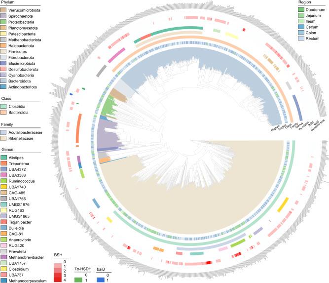 https://cdn.ncbi.nlm.nih.gov/pmc/blobs/0208/9750977/48b736b6203b/41396_2022_1333_Fig1_HTML.jpg