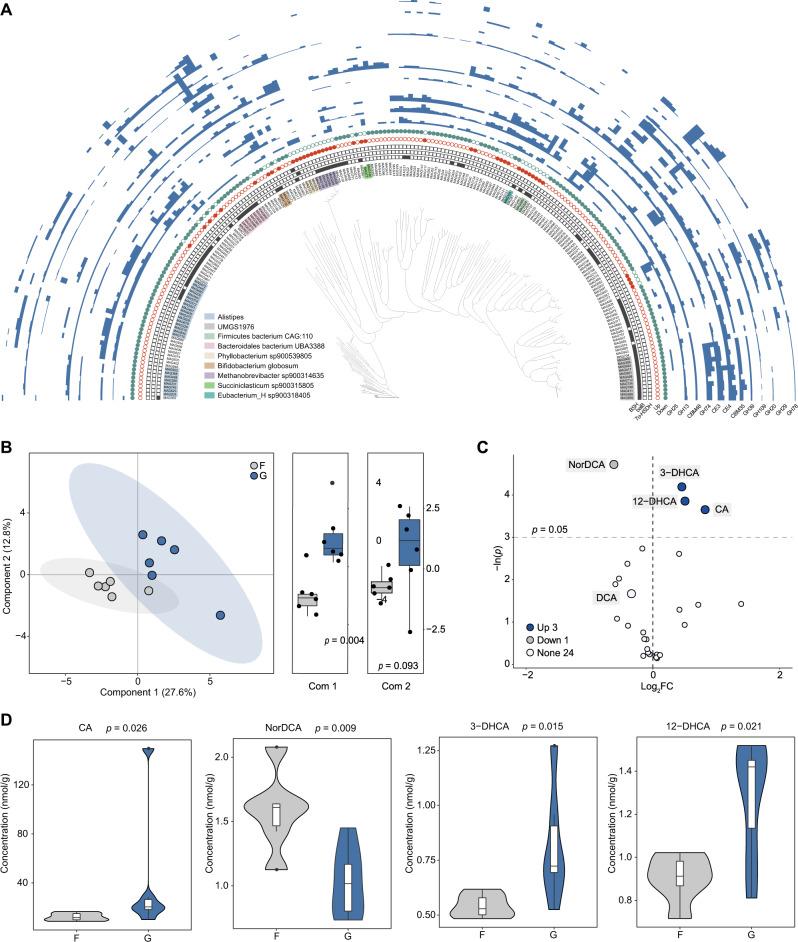 https://cdn.ncbi.nlm.nih.gov/pmc/blobs/0208/9750977/677f41718f00/41396_2022_1333_Fig5_HTML.jpg