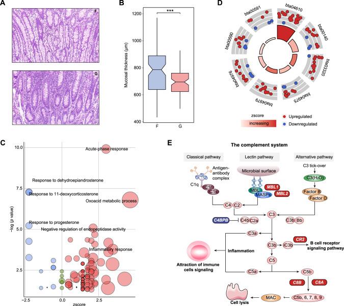 https://cdn.ncbi.nlm.nih.gov/pmc/blobs/0208/9750977/a97492a85d11/41396_2022_1333_Fig6_HTML.jpg