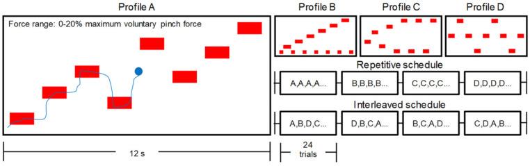 https://cdn.ncbi.nlm.nih.gov/pmc/blobs/0209/9030594/155ad570acaf/brainsci-12-00436-g002.jpg