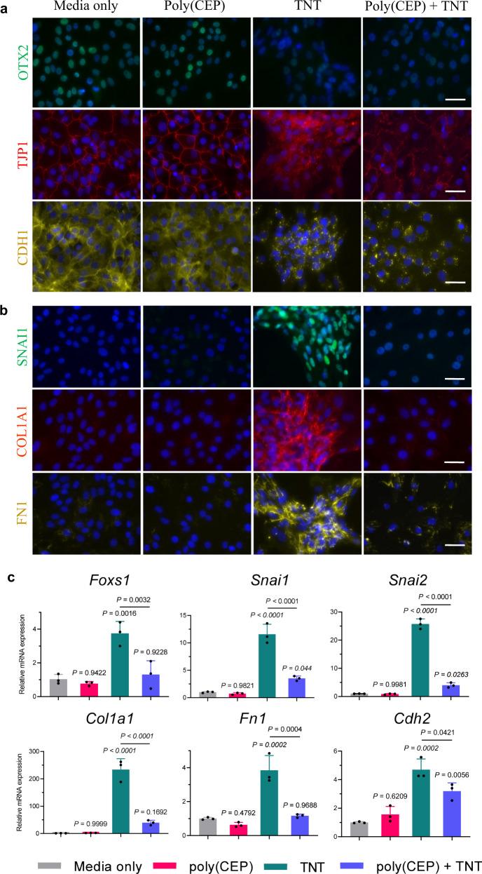 https://cdn.ncbi.nlm.nih.gov/pmc/blobs/020a/9119969/71a13705a95f/41467_2022_30474_Fig4_HTML.jpg