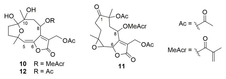 https://cdn.ncbi.nlm.nih.gov/pmc/blobs/020b/9921329/013ce2f704e0/molecules-28-01243-g012.jpg