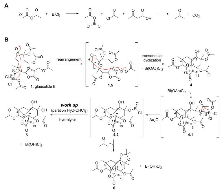 https://cdn.ncbi.nlm.nih.gov/pmc/blobs/020b/9921329/bbd11c733fe5/molecules-28-01243-g004.jpg