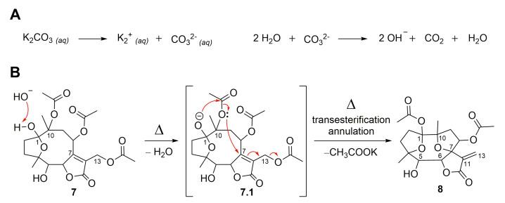 https://cdn.ncbi.nlm.nih.gov/pmc/blobs/020b/9921329/d26be9957888/molecules-28-01243-g008.jpg
