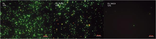 https://cdn.ncbi.nlm.nih.gov/pmc/blobs/0210/5727138/6b78515e0f25/41598_2017_17310_Fig6_HTML.jpg