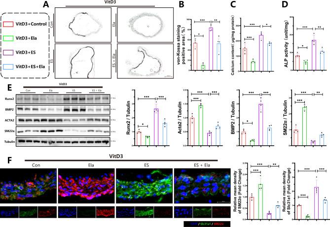 https://cdn.ncbi.nlm.nih.gov/pmc/blobs/0211/11577739/1f20b474a7a4/10020_2024_997_Fig3_HTML.jpg