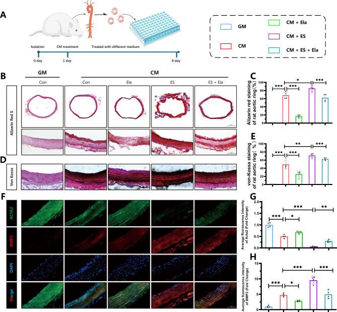 https://cdn.ncbi.nlm.nih.gov/pmc/blobs/0211/11577739/748ab5c6d565/10020_2024_997_Fig4_HTML.jpg