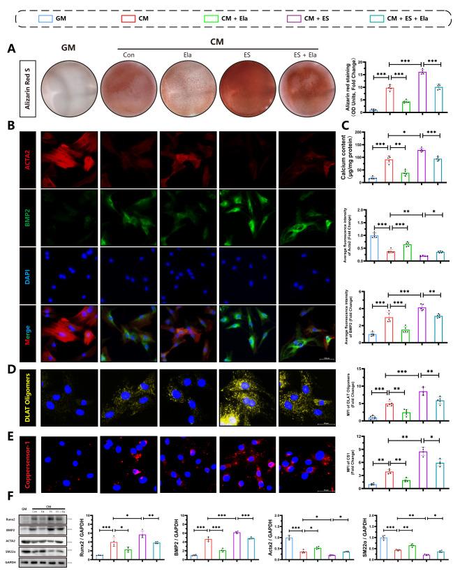 https://cdn.ncbi.nlm.nih.gov/pmc/blobs/0211/11577739/e74ddfe04c16/10020_2024_997_Fig5_HTML.jpg