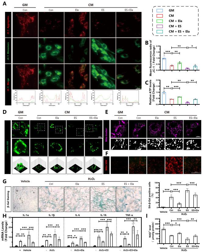 https://cdn.ncbi.nlm.nih.gov/pmc/blobs/0211/11577739/f7c56c0d8ed4/10020_2024_997_Fig6_HTML.jpg