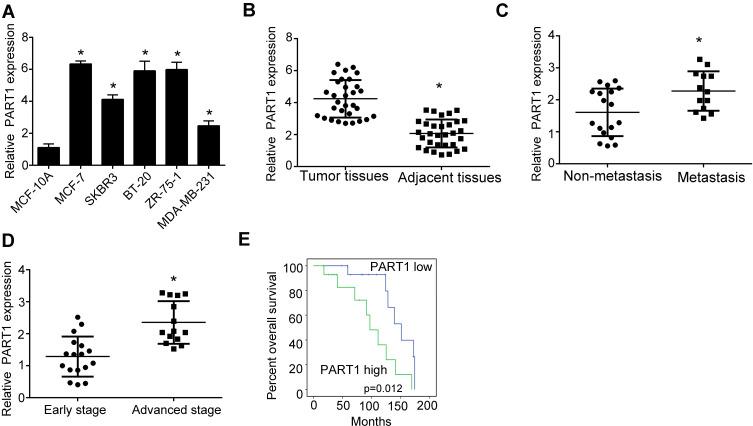 https://cdn.ncbi.nlm.nih.gov/pmc/blobs/0213/7457826/f77fac67e3e4/CMAR-12-7753-g0001.jpg