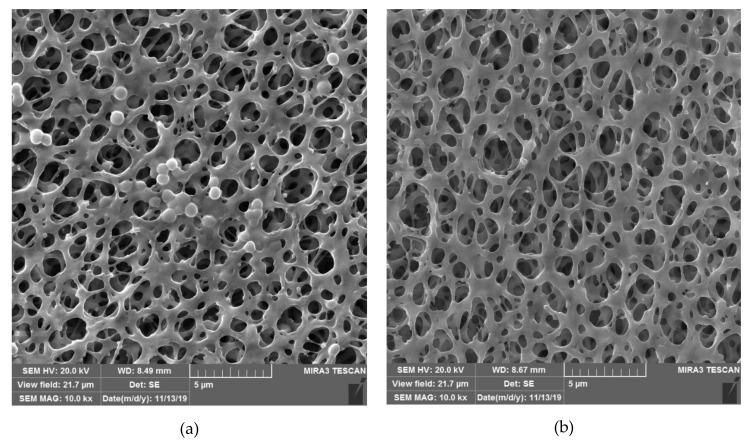 https://cdn.ncbi.nlm.nih.gov/pmc/blobs/0214/7321342/70dd6d7b75fc/molecules-25-02491-g003.jpg
